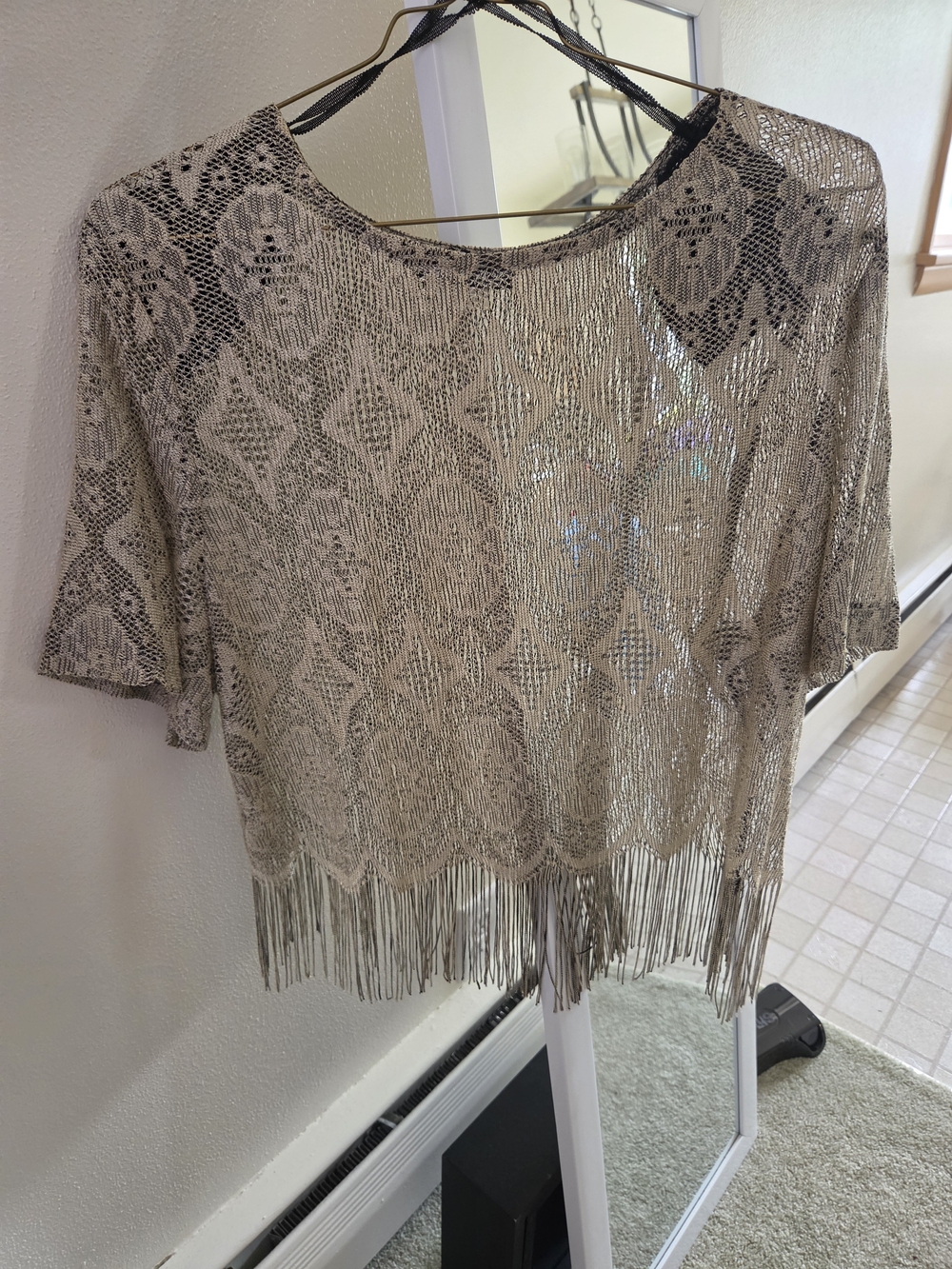 Fringed Metallic Knit Tunic Top in Beige and Silver